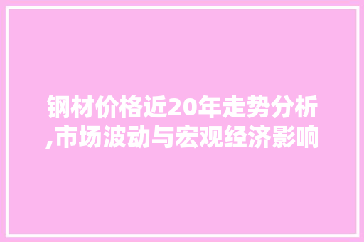 钢材价格近20年走势分析,市场波动与宏观经济影响