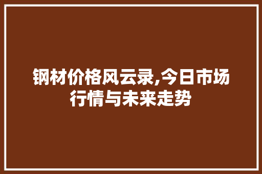 钢材价格风云录,今日市场行情与未来走势