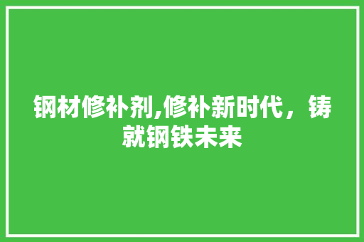 钢材修补剂,修补新时代，铸就钢铁未来