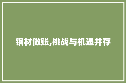 钢材做账,挑战与机遇并存