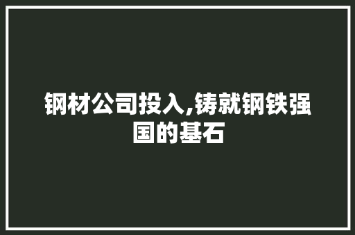 钢材公司投入,铸就钢铁强国的基石