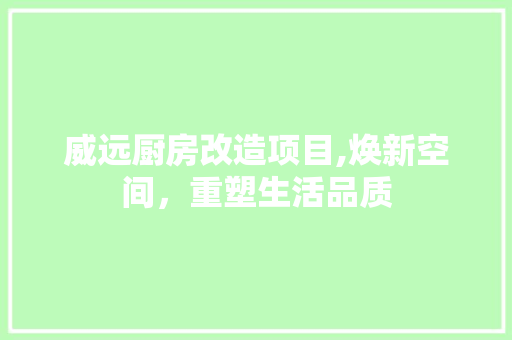 威远厨房改造项目,焕新空间，重塑生活品质