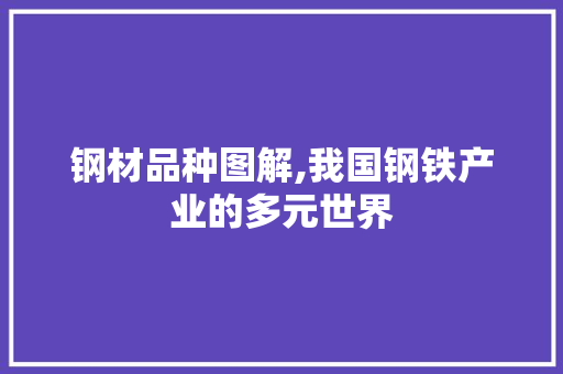 钢材品种图解,我国钢铁产业的多元世界