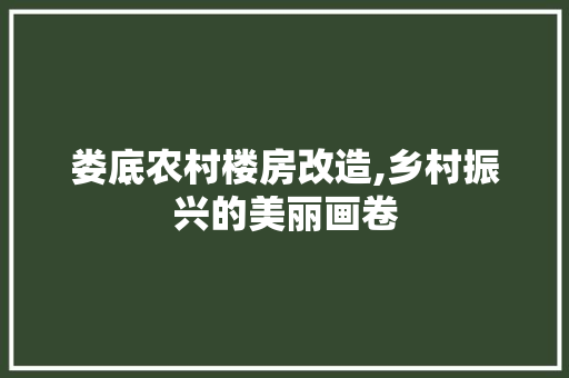 娄底农村楼房改造,乡村振兴的美丽画卷