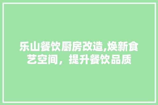 乐山餐饮厨房改造,焕新食艺空间，提升餐饮品质