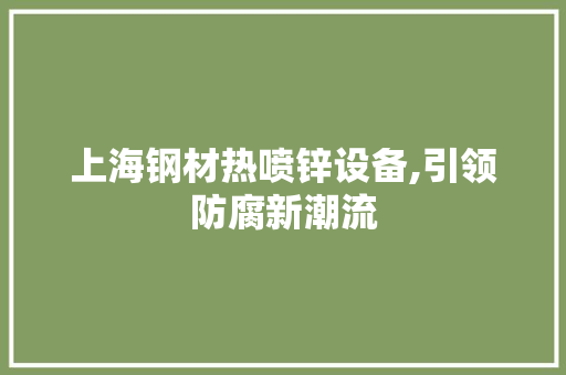 上海钢材热喷锌设备,引领防腐新潮流