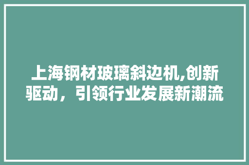 上海钢材玻璃斜边机,创新驱动，引领行业发展新潮流