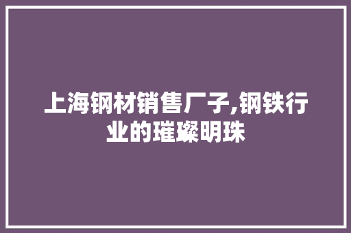 上海钢材销售厂子,钢铁行业的璀璨明珠