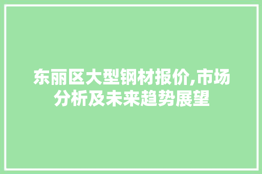 东丽区大型钢材报价,市场分析及未来趋势展望