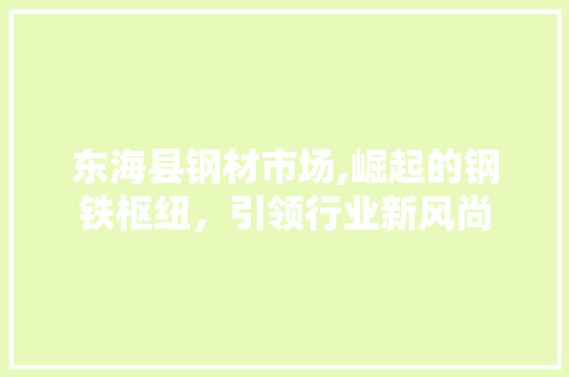 东海县钢材市场,崛起的钢铁枢纽，引领行业新风尚
