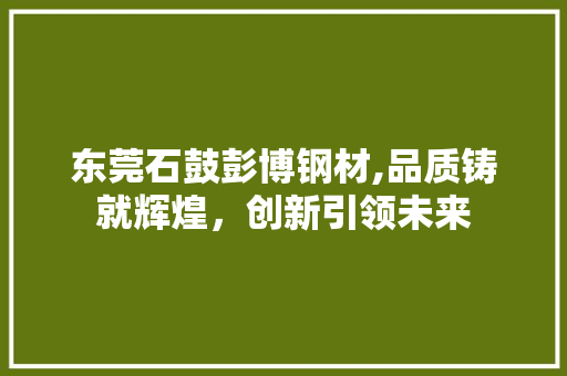 东莞石鼓彭博钢材,品质铸就辉煌，创新引领未来