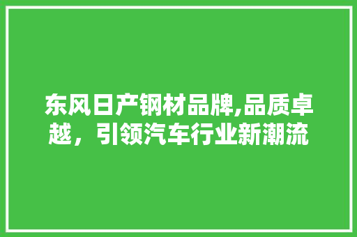 东风日产钢材品牌,品质卓越，引领汽车行业新潮流