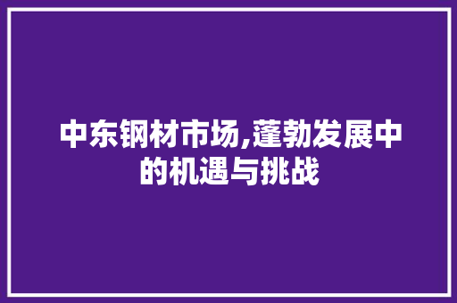 中东钢材市场,蓬勃发展中的机遇与挑战