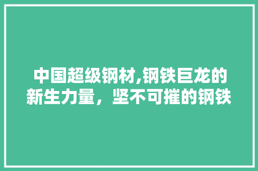 中国超级钢材,钢铁巨龙的新生力量，坚不可摧的钢铁脊梁