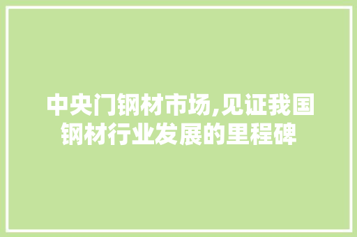中央门钢材市场,见证我国钢材行业发展的里程碑