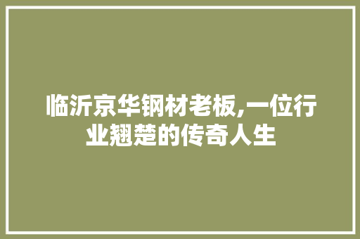 临沂京华钢材老板,一位行业翘楚的传奇人生