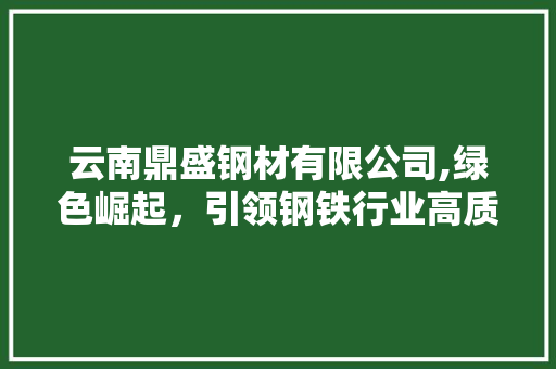 云南鼎盛钢材有限公司,绿色崛起，引领钢铁行业高质量发展
