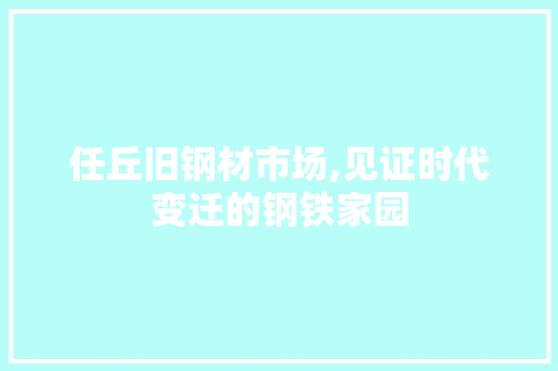 任丘旧钢材市场,见证时代变迁的钢铁家园