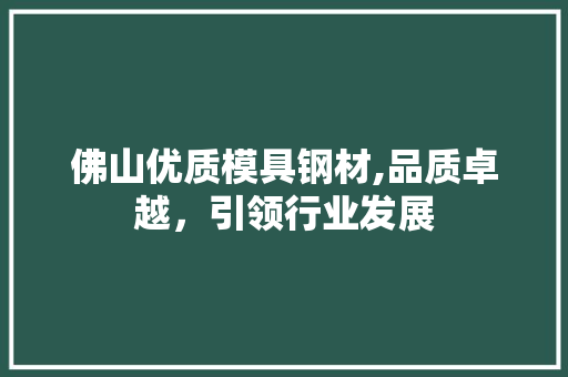 佛山优质模具钢材,品质卓越，引领行业发展