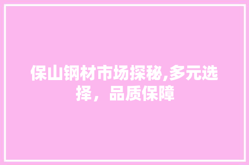 保山钢材市场探秘,多元选择，品质保障