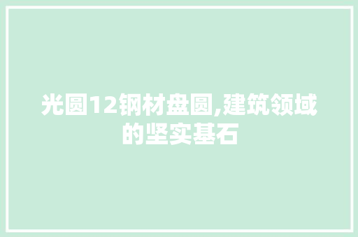 光圆12钢材盘圆,建筑领域的坚实基石