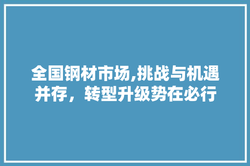 全国钢材市场,挑战与机遇并存，转型升级势在必行