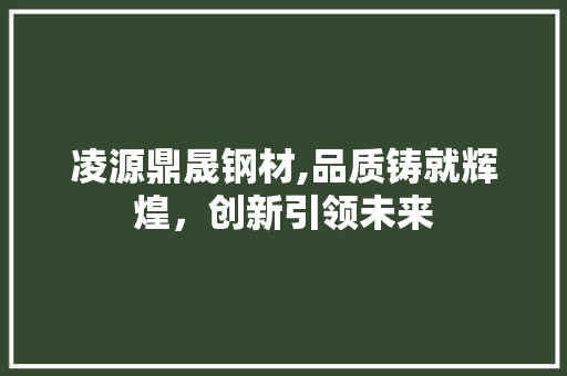凌源鼎晟钢材,品质铸就辉煌，创新引领未来