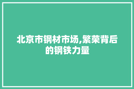 北京市钢材市场,繁荣背后的钢铁力量