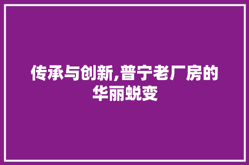 传承与创新,普宁老厂房的华丽蜕变