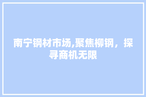 南宁钢材市场,聚焦柳钢，探寻商机无限