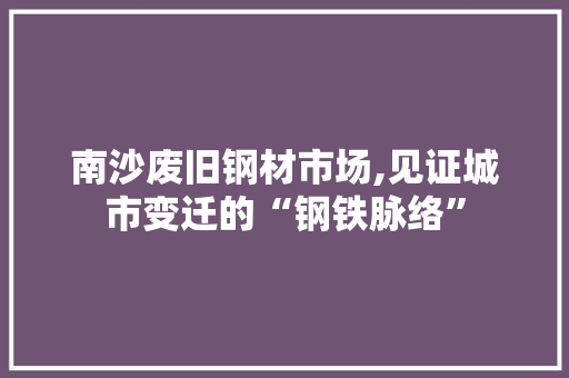 南沙废旧钢材市场,见证城市变迁的“钢铁脉络”