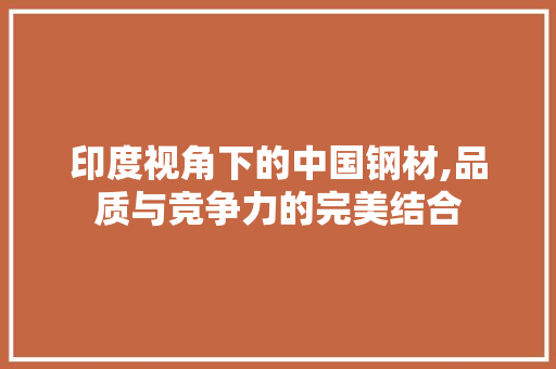印度视角下的中国钢材,品质与竞争力的完美结合