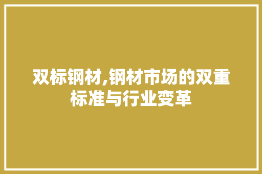 双标钢材,钢材市场的双重标准与行业变革
