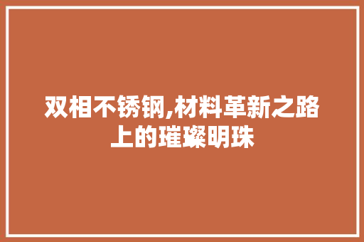 双相不锈钢,材料革新之路上的璀璨明珠
