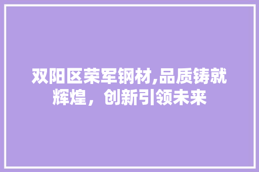 双阳区荣军钢材,品质铸就辉煌，创新引领未来