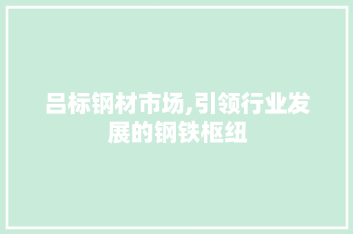 吕标钢材市场,引领行业发展的钢铁枢纽