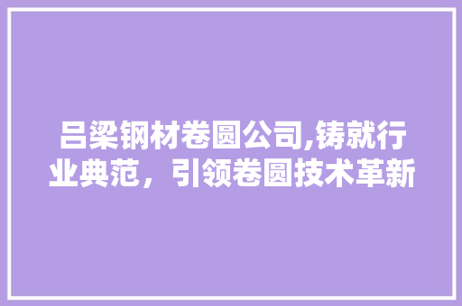 吕梁钢材卷圆公司,铸就行业典范，引领卷圆技术革新
