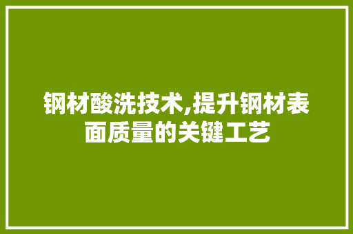 钢材酸洗技术,提升钢材表面质量的关键工艺