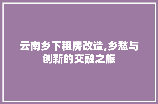 云南乡下租房改造,乡愁与创新的交融之旅