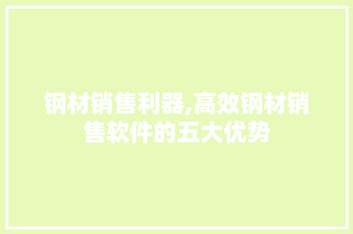 钢材销售利器,高效钢材销售软件的五大优势