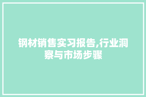 钢材销售实习报告,行业洞察与市场步骤