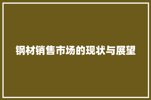 钢材销售市场的现状与展望