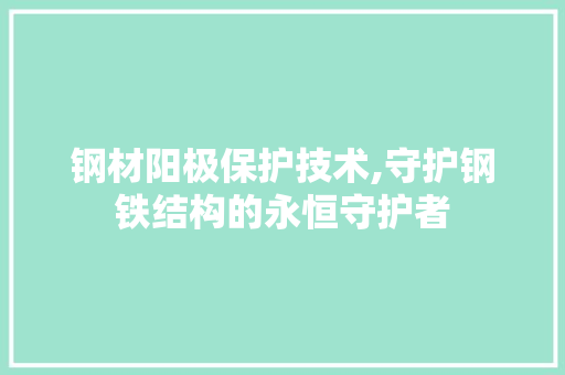 钢材阳极保护技术,守护钢铁结构的永恒守护者