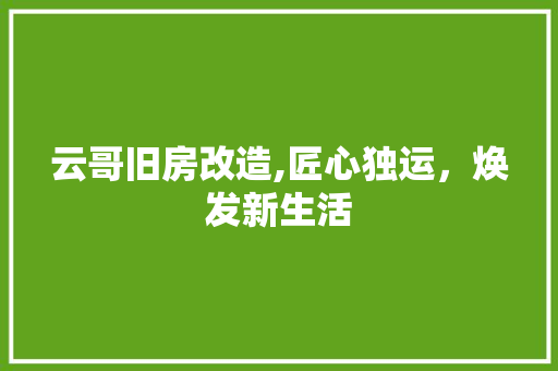 云哥旧房改造,匠心独运，焕发新生活