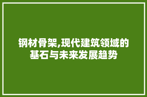 钢材骨架,现代建筑领域的基石与未来发展趋势