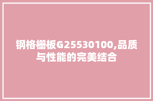 钢格栅板G25530100,品质与性能的完美结合