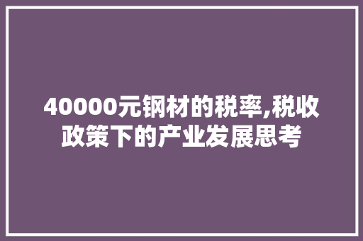 40000元钢材的税率,税收政策下的产业发展思考