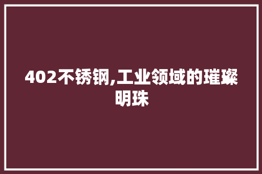 402不锈钢,工业领域的璀璨明珠
