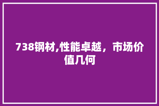 738钢材,性能卓越，市场价值几何