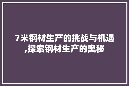 7米钢材生产的挑战与机遇,探索钢材生产的奥秘